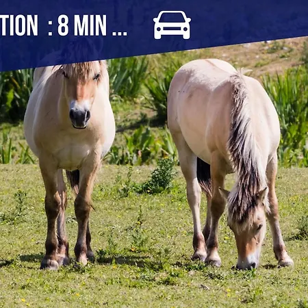 Les 1000 Ailes-experience Unique Dans Hutte 펜션 르크로토이