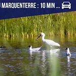 Les 1000 Ailes-experience Unique Dans Hutte * Le Crotoy
