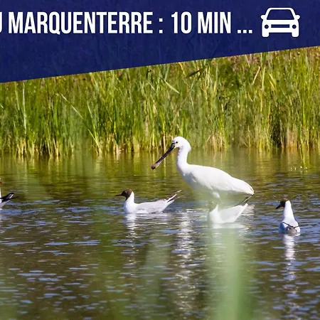 Les 1000 Ailes, Hutte Insolite Avec étang, Baie De Somme * Le Crotoy