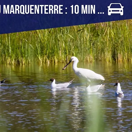 Les 1000 Ailes-experience Unique Dans Hutte Holiday home Le Crotoy