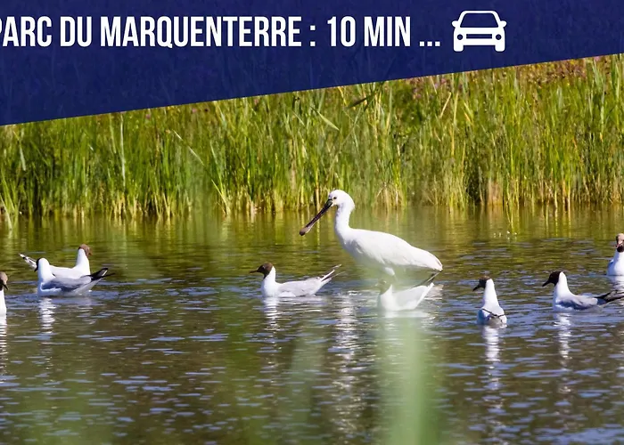 Les 1000 Ailes-experience Unique Dans Hutte * Le Crotoy