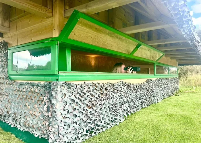 Les 1000 Ailes-experience Unique Dans Hutte