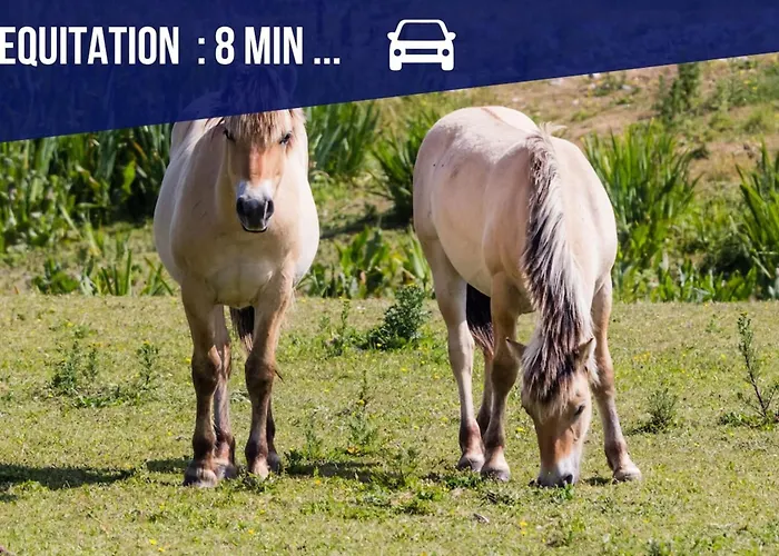 Les 1000 Ailes-experience Unique Dans Hutte Holiday home Le Crotoy